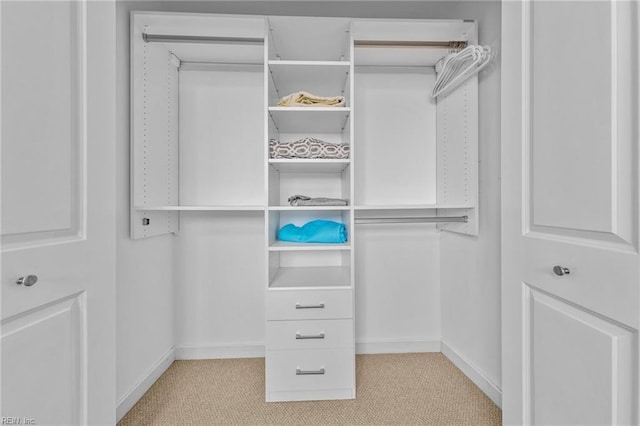 spacious closet featuring light colored carpet