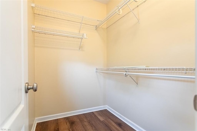 walk in closet featuring dark wood-style flooring