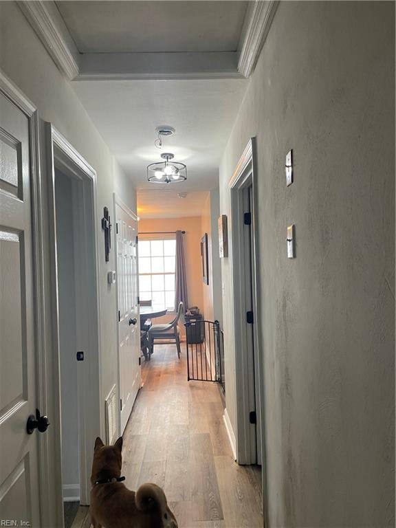 corridor featuring light hardwood / wood-style flooring