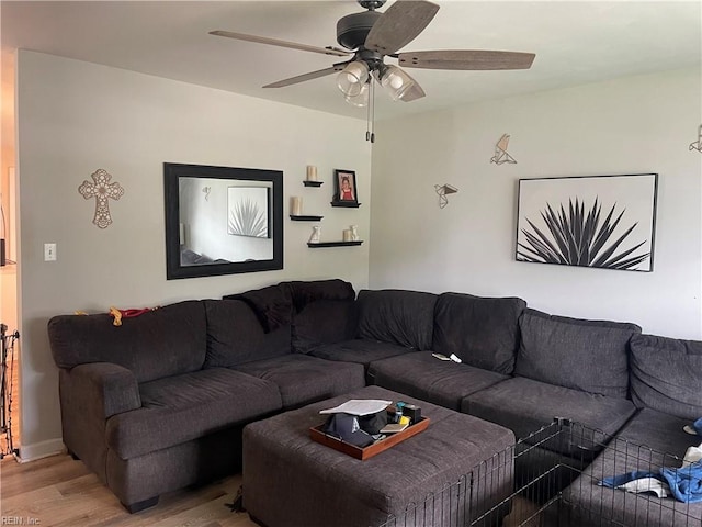 living room with ceiling fan and hardwood / wood-style flooring