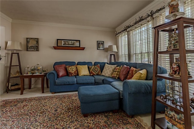 living area featuring carpet floors and ornamental molding