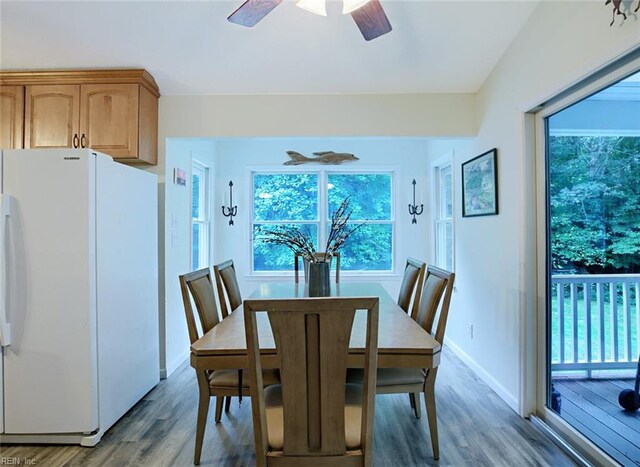 living room featuring ceiling fan, dark hardwood / wood-style floors, and vaulted ceiling