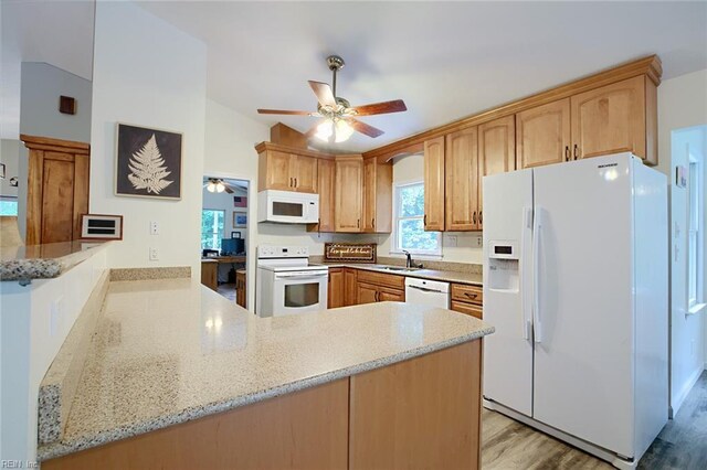 kitchen with white appliances, light hardwood / wood-style flooring, kitchen peninsula, sink, and ceiling fan