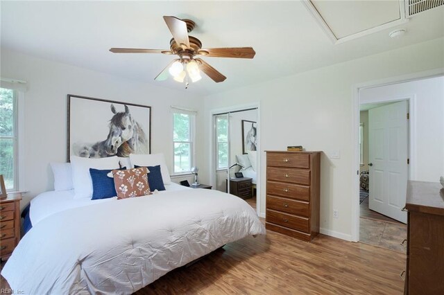 bedroom with multiple windows, dark hardwood / wood-style flooring, and ceiling fan