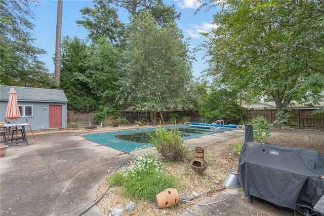 view of swimming pool with a storage shed and a patio area