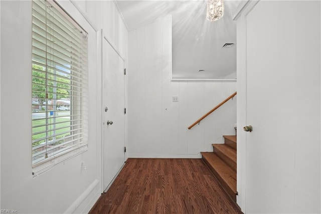 interior space featuring wood walls and dark hardwood / wood-style floors