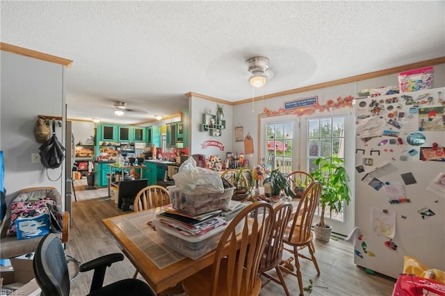 dining room with crown molding, light wood-type flooring, and a ceiling fan