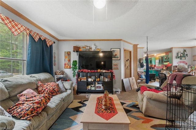 living area with a textured ceiling, carpet floors, and ornamental molding