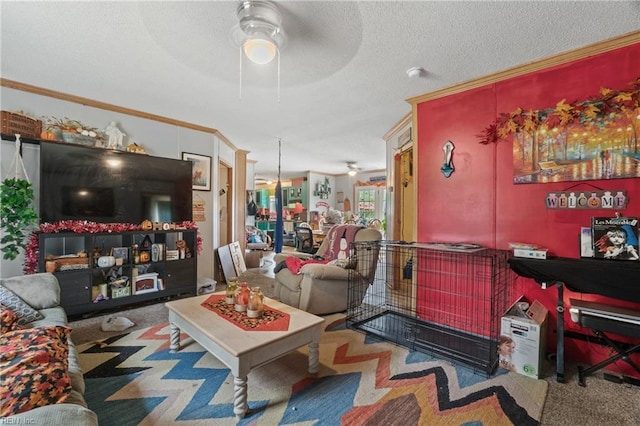 living room with crown molding, a ceiling fan, and a textured ceiling