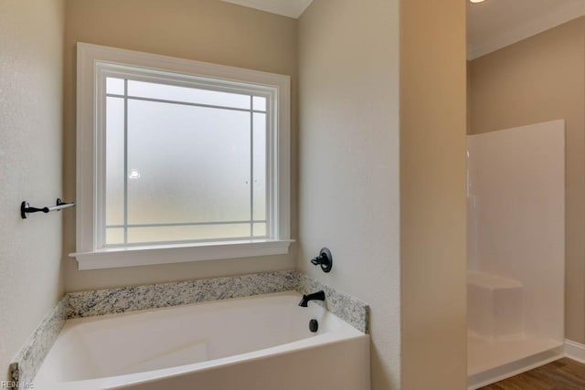 bathroom with a bath, a wealth of natural light, and hardwood / wood-style floors