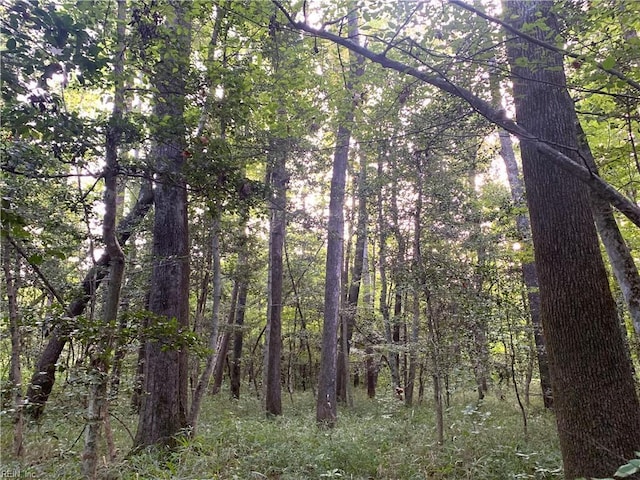 51AC S Main St, Emporia, VA 23847