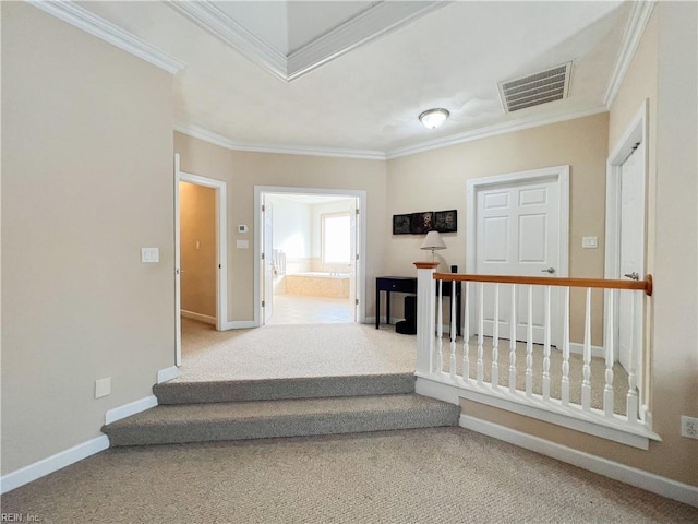 hallway featuring crown molding and carpet flooring