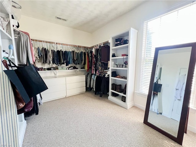 spacious closet featuring light carpet