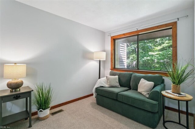 living room featuring carpet floors