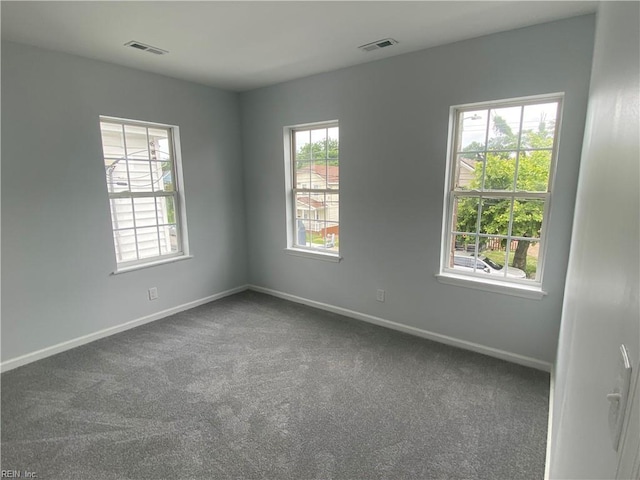 carpeted empty room featuring a healthy amount of sunlight