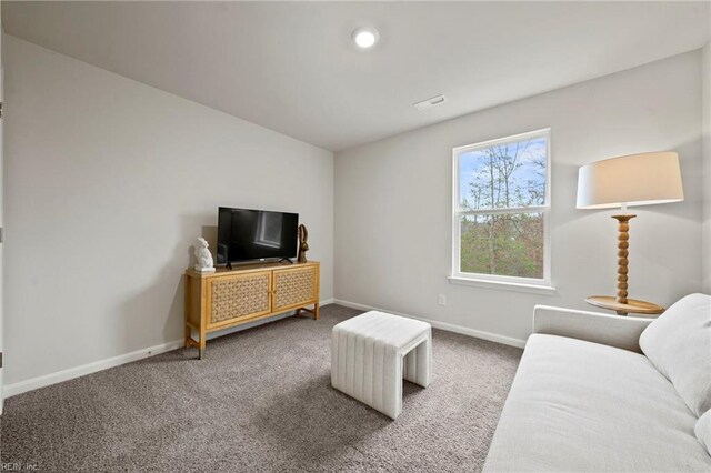 living room featuring carpet