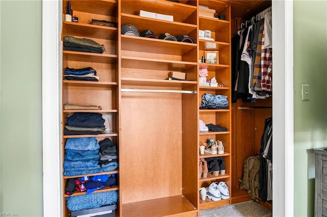 view of closet