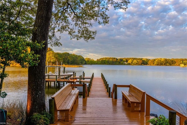 dock area with a water view