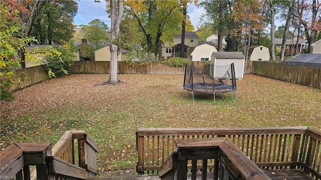 view of yard featuring a storage shed and a trampoline