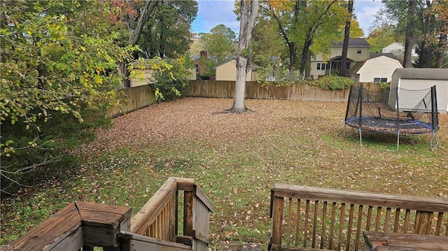 view of yard with a trampoline