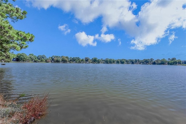 property view of water