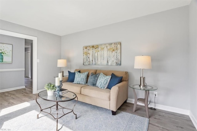 living room featuring hardwood / wood-style flooring