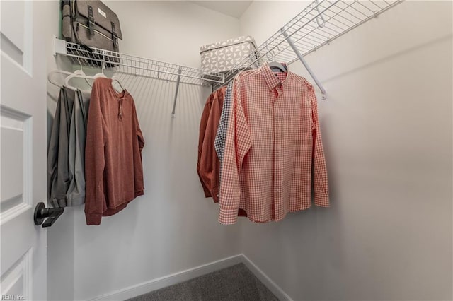 walk in closet featuring carpet floors