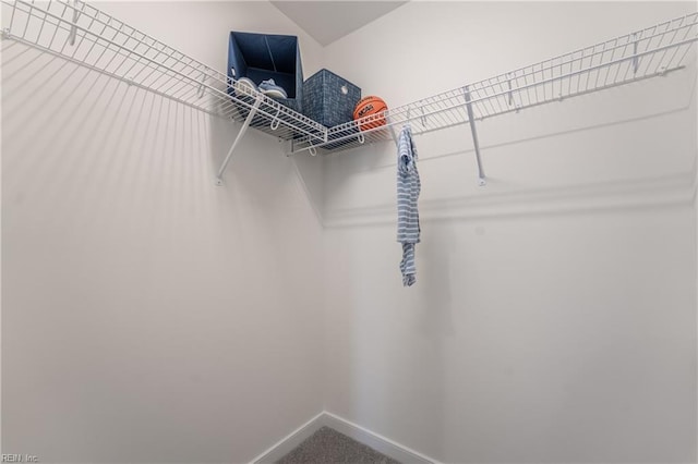 2226 Patrick Dr, Suffolk, VA 23435 - view of walk in closet