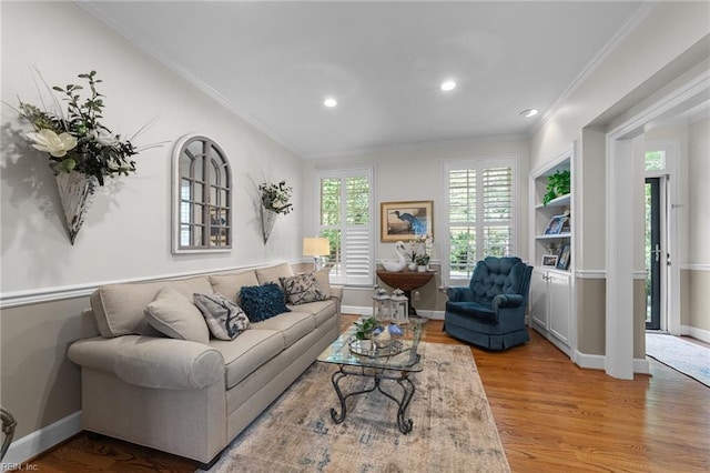 living room with crown molding and wood-type flooring