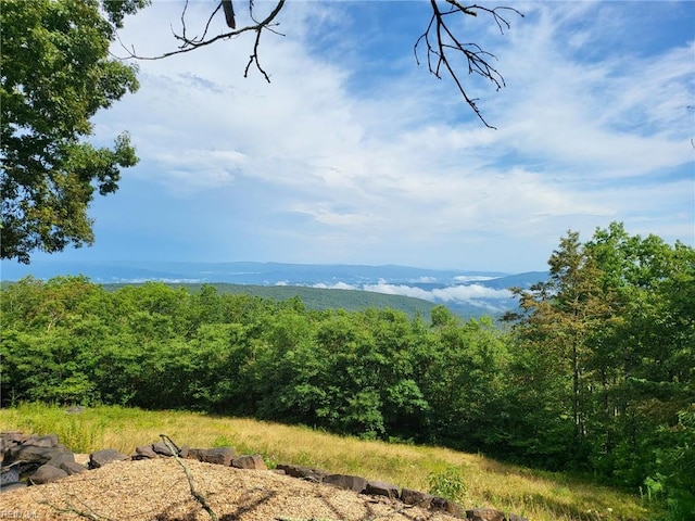 water view with a mountain view