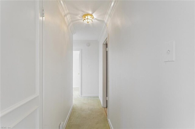 bedroom featuring light colored carpet