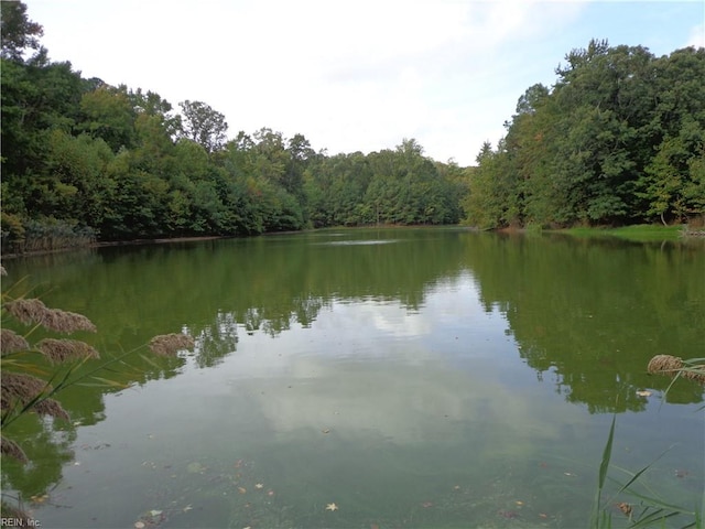 3.25AC Morgarts Beach Rd, Smithfield VA, 23430 land for sale