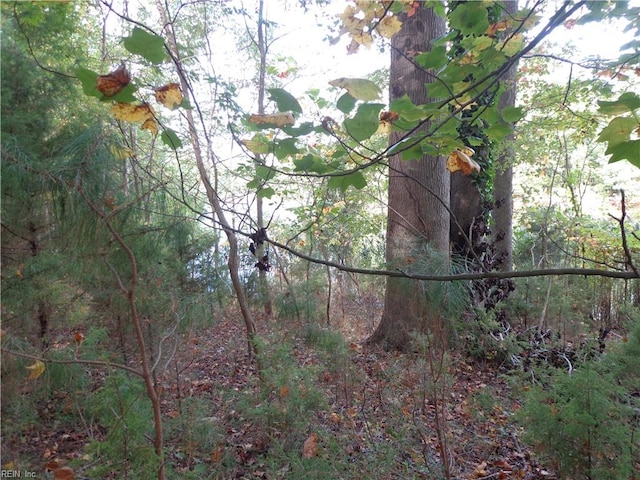 2.81AC Morgarts Beach Rd, Smithfield, VA 23430