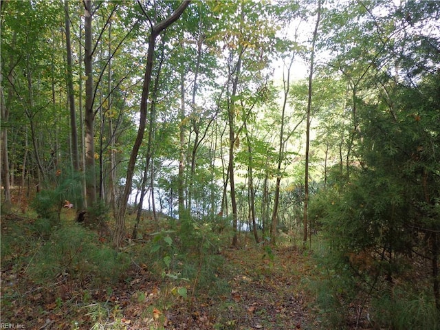 Listing photo 2 for 2.81AC Morgarts Beach Rd, Smithfield VA 23430