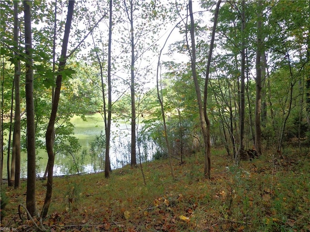 Listing photo 3 for 2.81AC Morgarts Beach Rd, Smithfield VA 23430