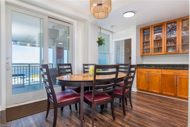 dining room with dark hardwood / wood-style flooring