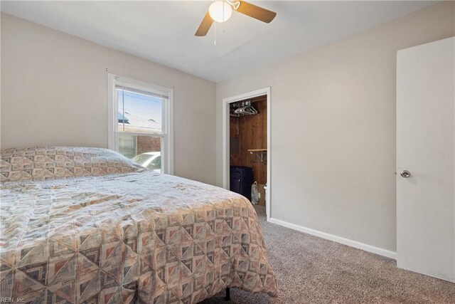 bedroom featuring ceiling fan, a closet, carpet flooring, and a spacious closet