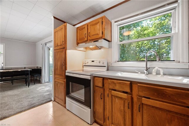 kitchen featuring sink, a healthy amount of sunlight, and white electric range