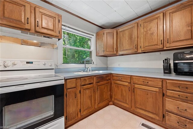 kitchen featuring ornamental molding, white electric stove, and sink