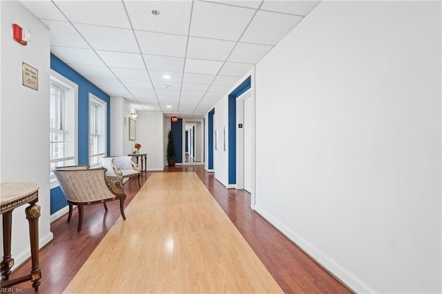 hallway featuring a drop ceiling and hardwood / wood-style floors