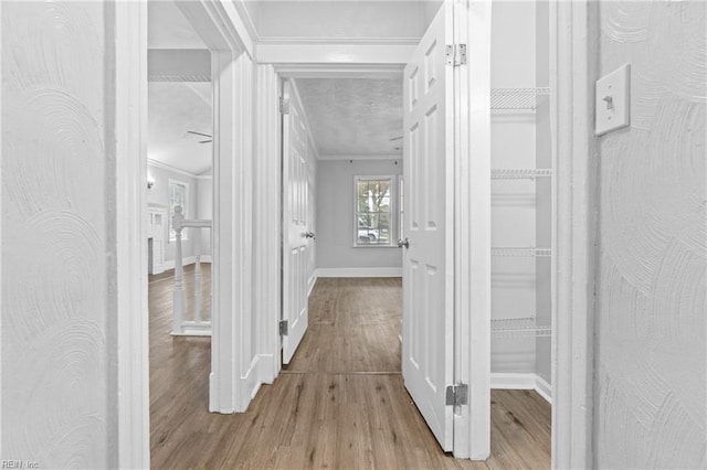 corridor with light hardwood / wood-style flooring and crown molding