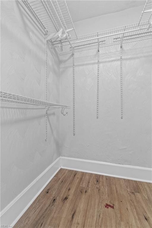 spacious closet featuring wood-type flooring