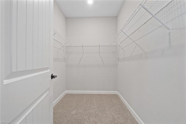 walk in closet with carpet