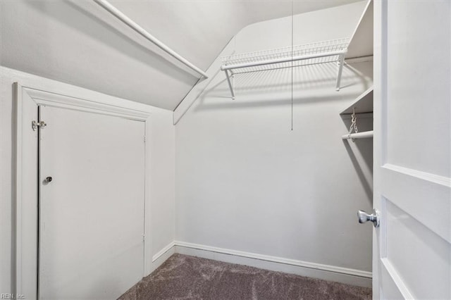 spacious closet featuring carpet floors and vaulted ceiling