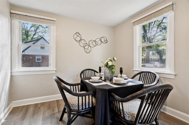 dining room featuring a wealth of natural light and hardwood / wood-style floors