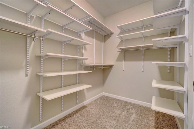 walk in closet with carpet