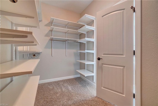 walk in closet with carpet