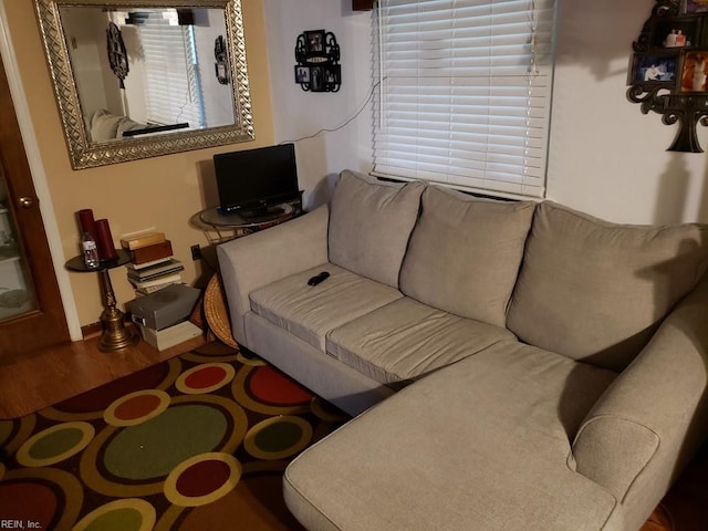 living room featuring hardwood / wood-style floors