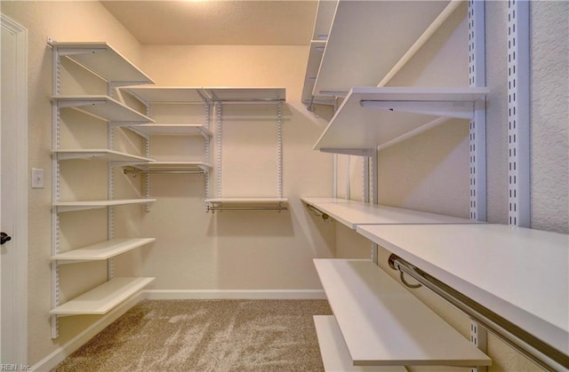 spacious closet featuring carpet floors