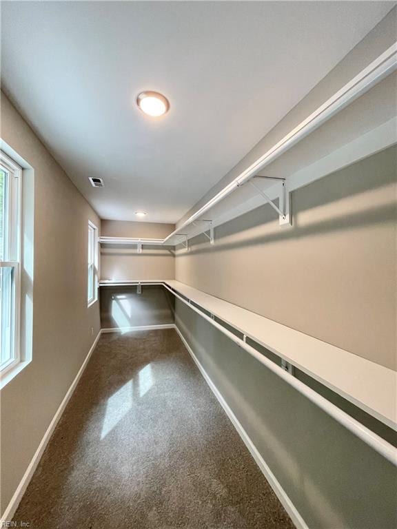 walk in closet featuring carpet flooring